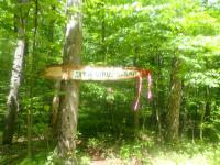 /home//u458753944/public_html/sourcegallery///other/races/Charlie Horse 2023/P5280898.JPG
